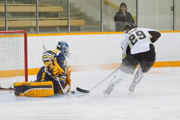 Bisons trample Pronghorns | The Manitoban