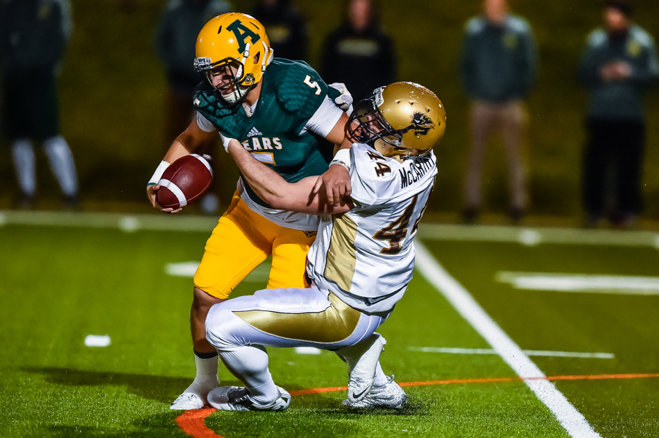 Bisons bounce back