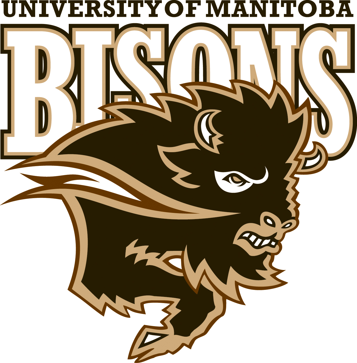 New Bisons take the ice