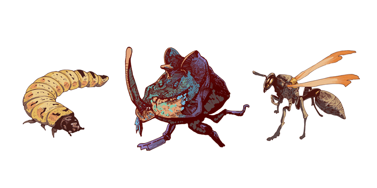 Bram-Keast-Science-Bugs-panorama-web