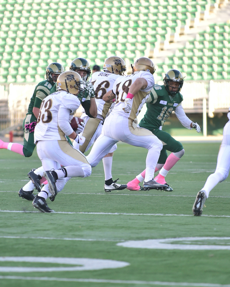 Resiliency in Regina