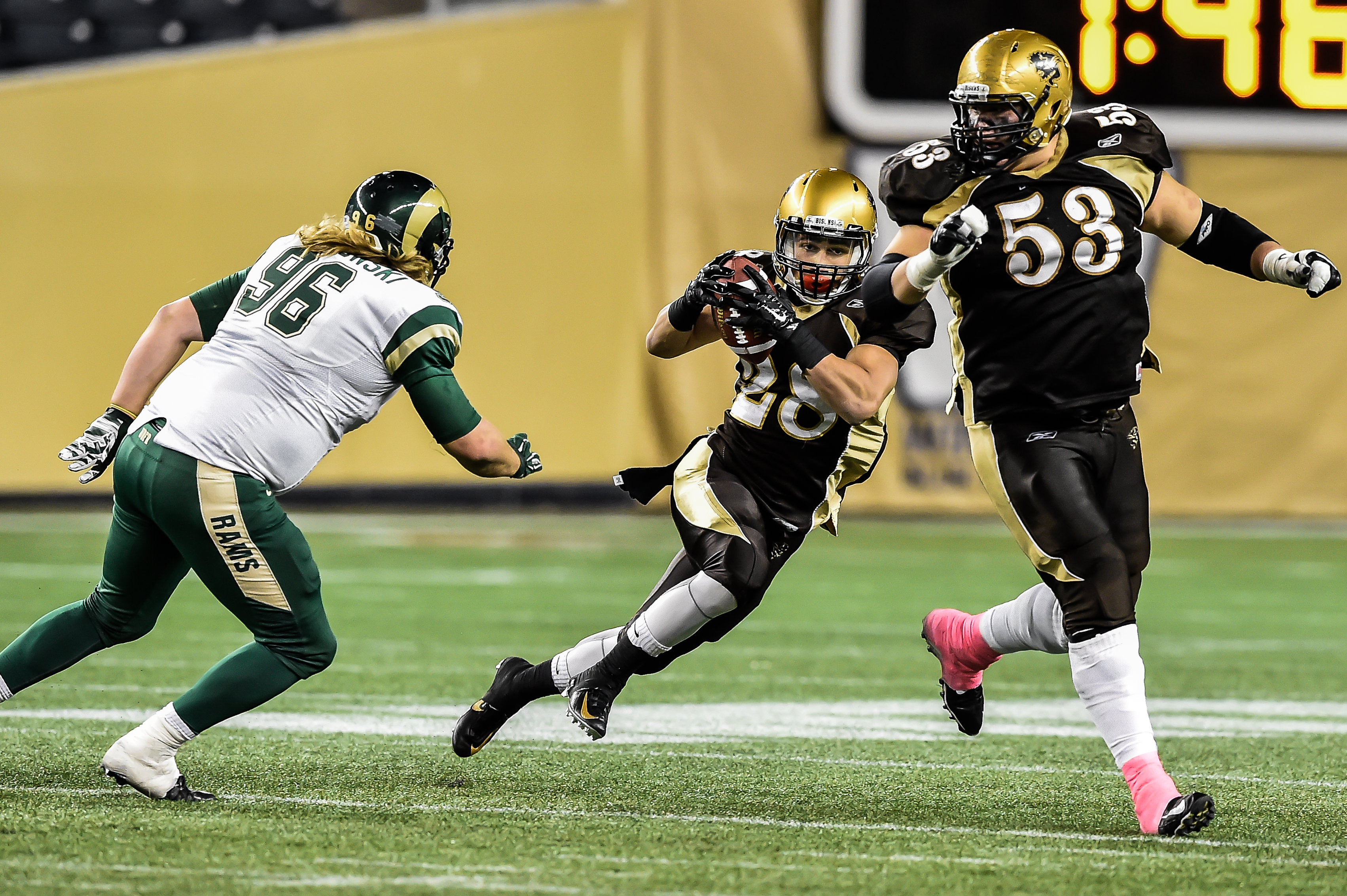 Bisons beat the sheep