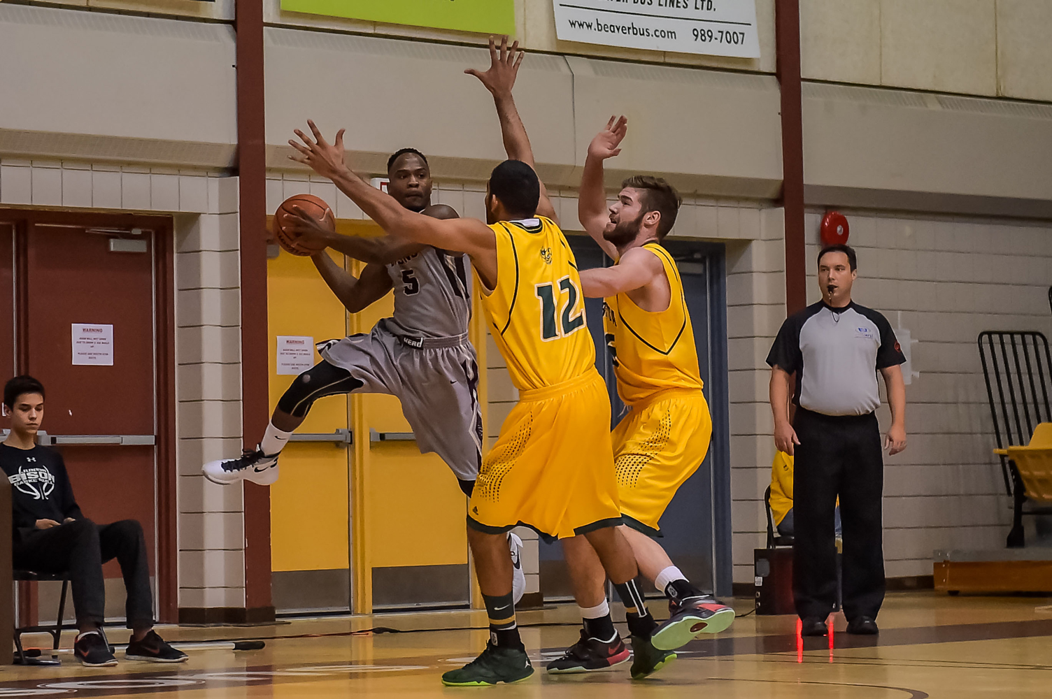 Bisons bounce Bobcats