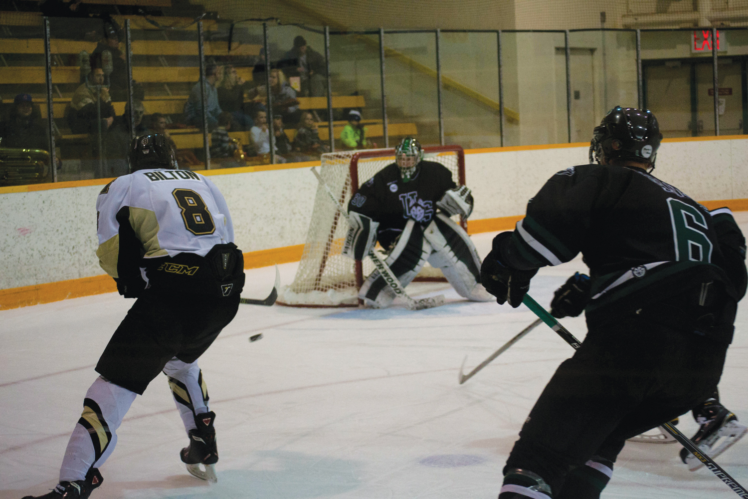 Hockey_Summary_RGB_By_Chantal_Zdan-5