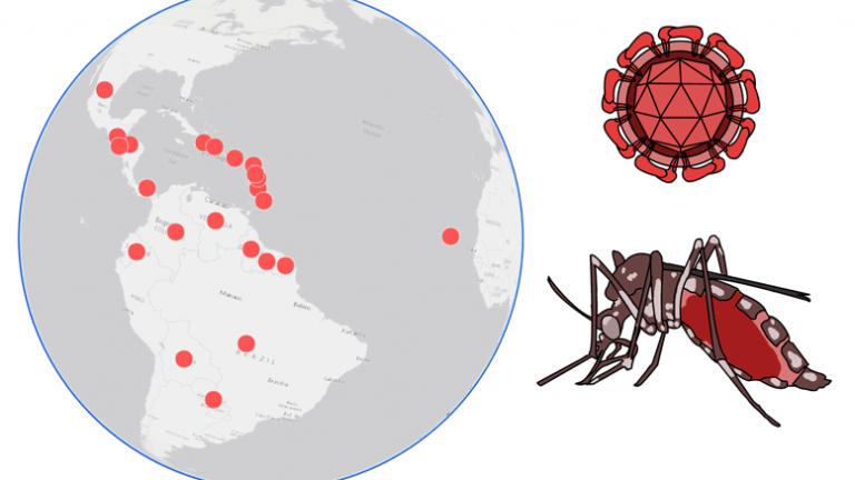 Zika virus re-emerges