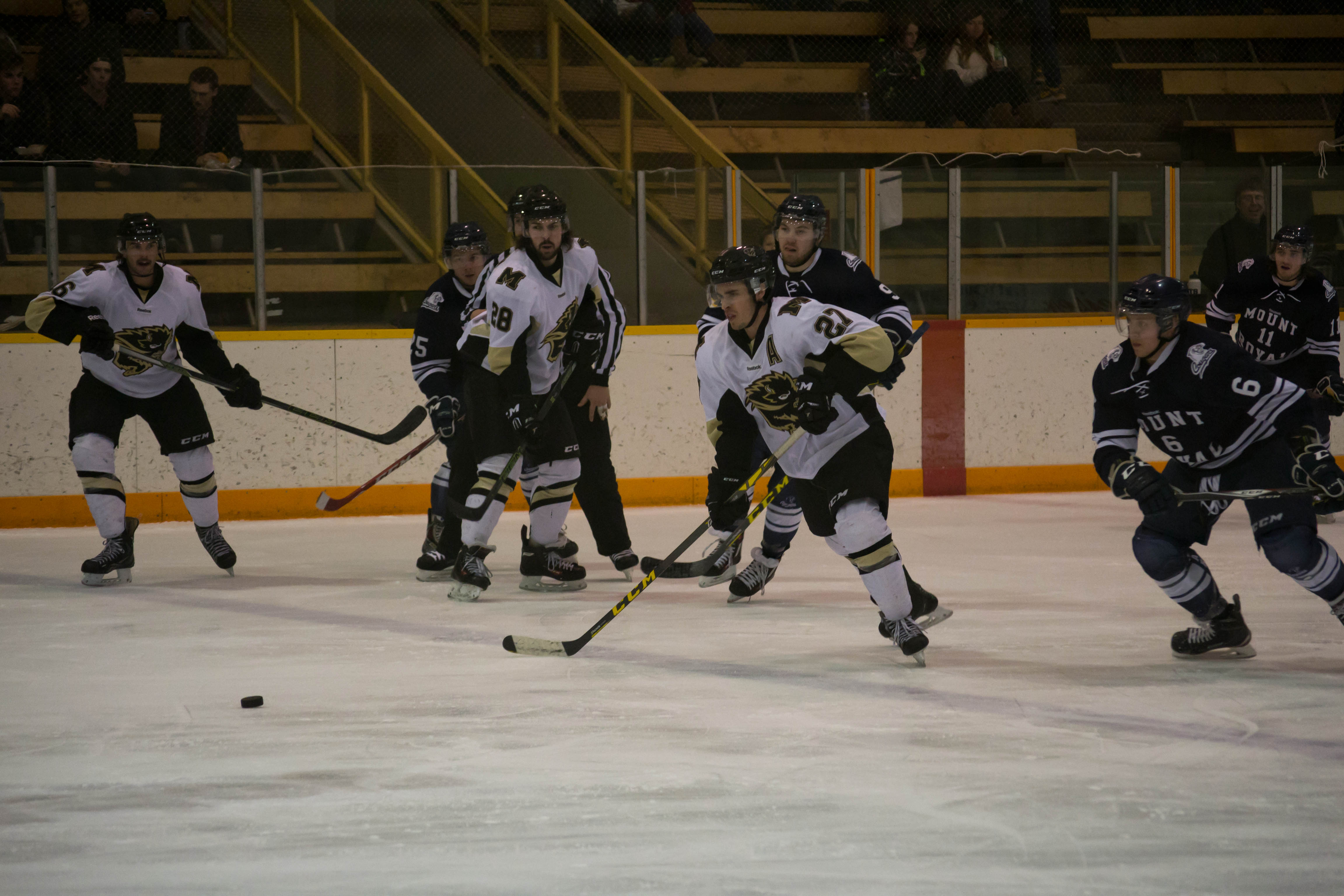 Hockey_Summary_RGB_By_Chantal_Zdan-2