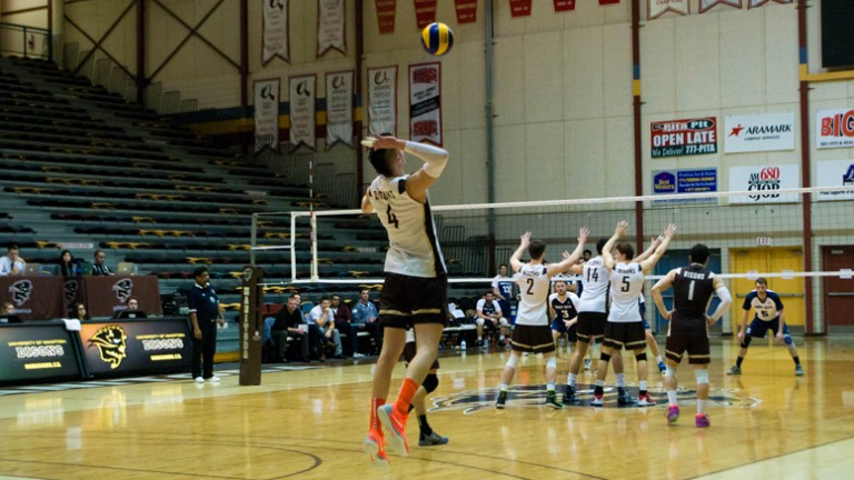Bisons sweep Mount Royal in men’s volleyball
