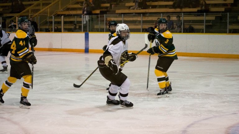 Bisons remain undefeated in women’s hockey