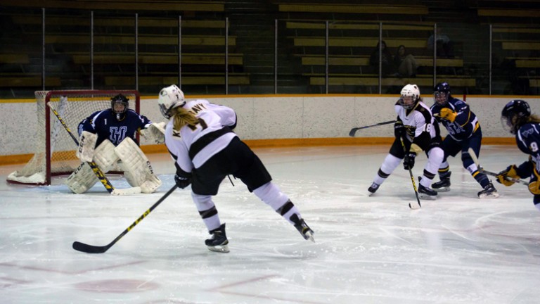 The best of Bisons hockey