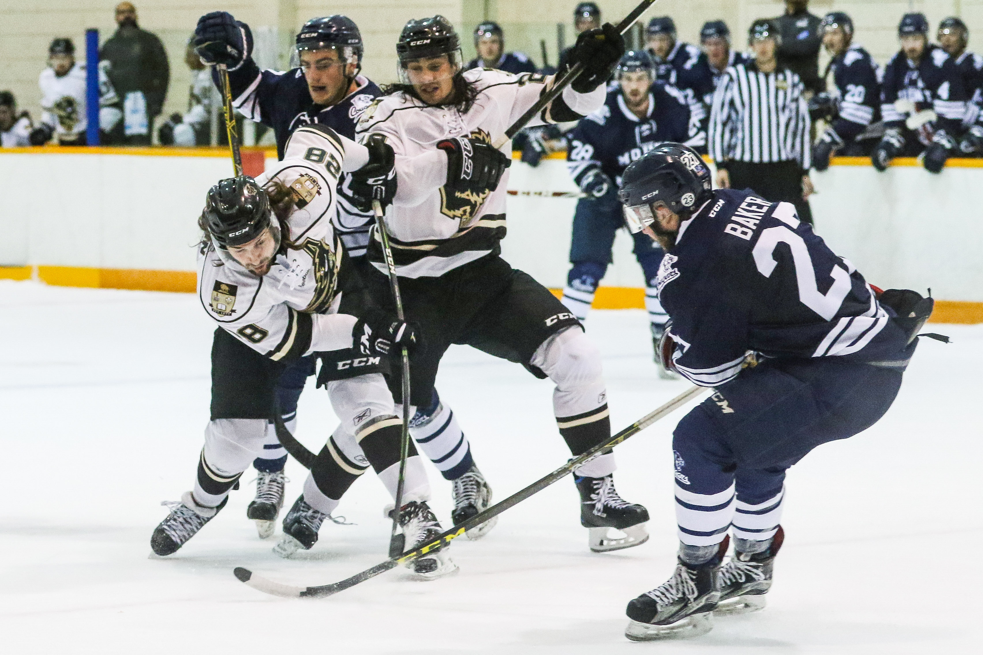 Bisons Men's Hockey vs Mount Royal October 2016. Photo by Star Roxas
