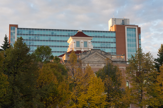 UMSU must support UMFA in their strike