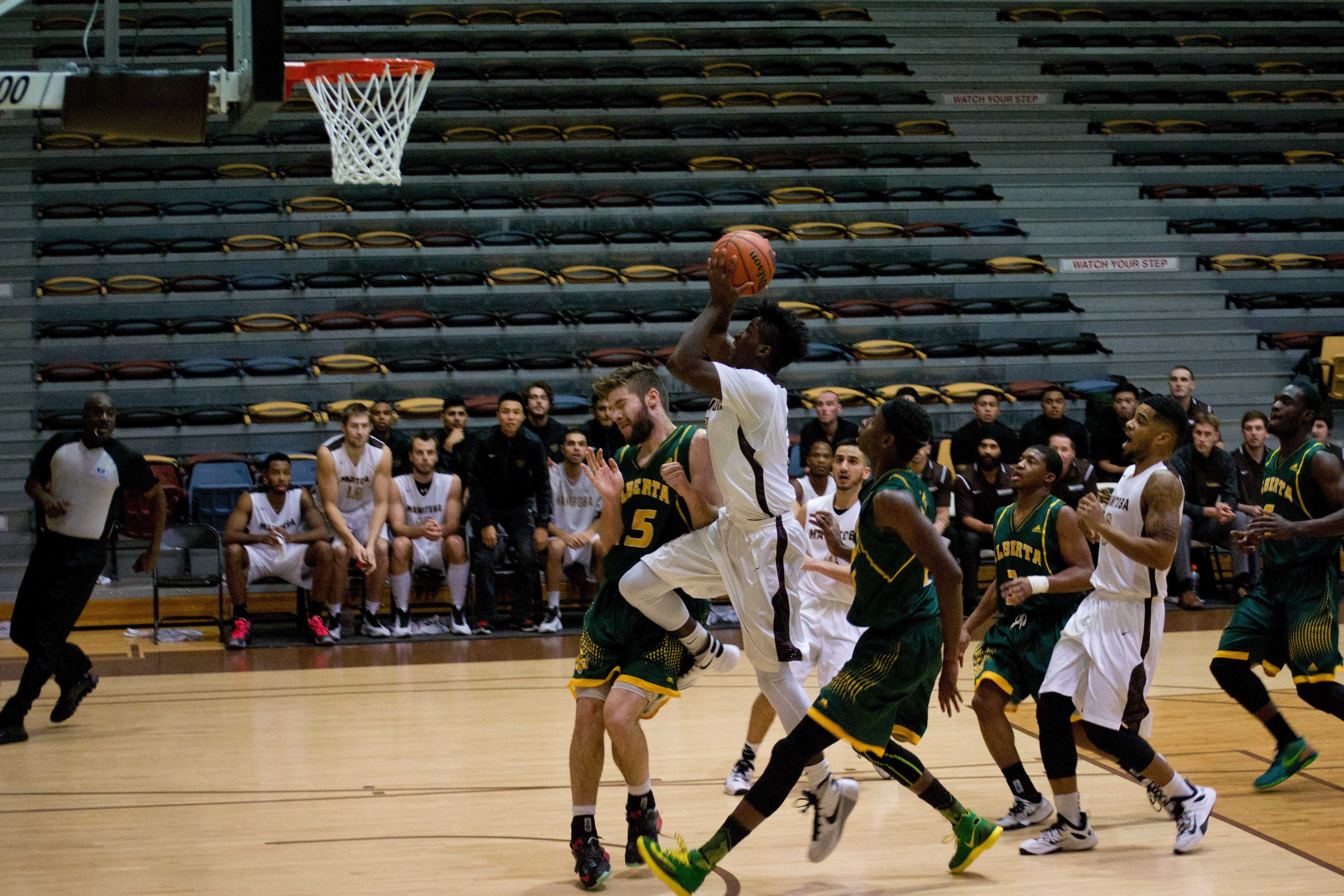 sports_mens-bisons-basketball-opens-on-the-road_chantal-zdan_web