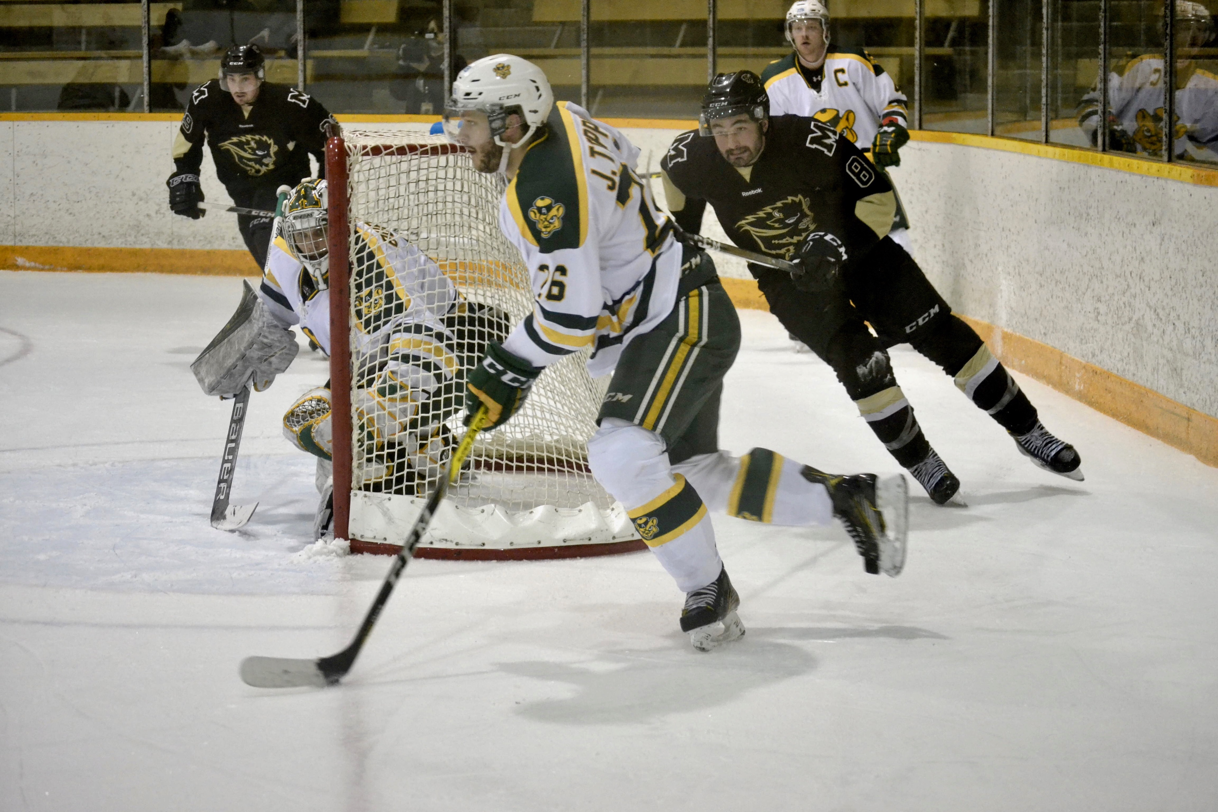 BearsBisons_Feb10_Zdan Bisons forward Liam Bilton chases Joel Topping behind the net
