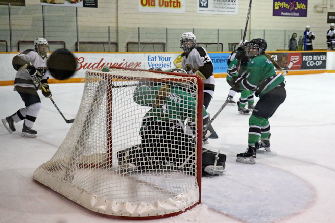 Photo by Megan Colwell Bisons and Huskies in action