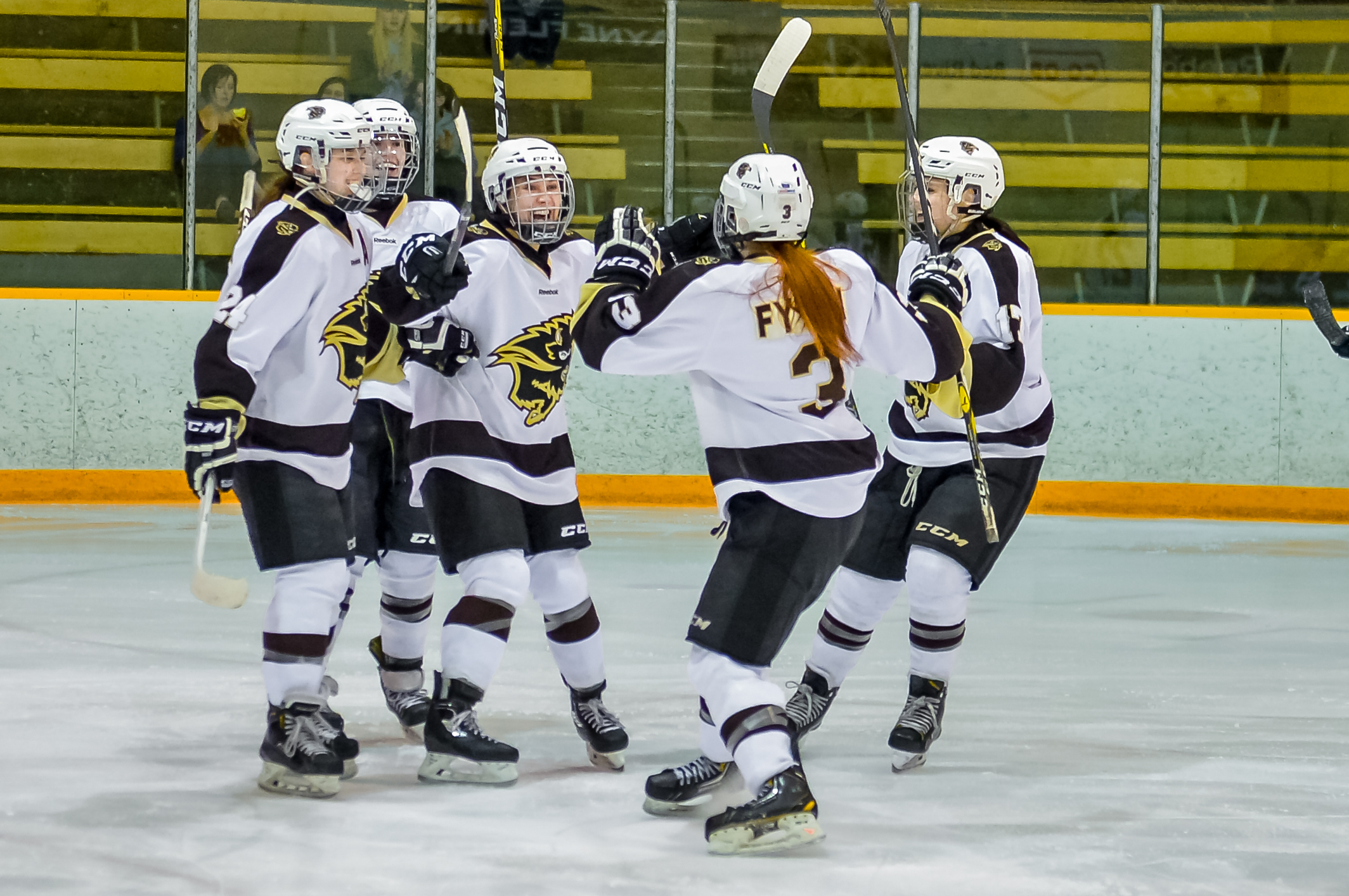Bison Sports 2017 Bisons celebrate goal against Mount Royal