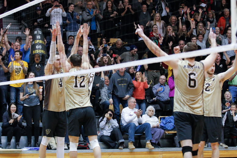 SPORTS_MensVBallCWPlayoffs_3_byStar Roxas_web Bisons celebrate after beating UBC in the semi-finals.