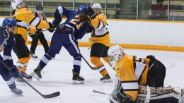 Bisons in action against the UBC T-Birds