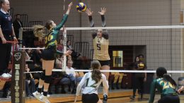 WINNIPEG, MB - WVB Kearley Abbott vs Alberta Pandas November 18: Winnipeg, Manitoba, Canada. Jeff Miller Bison Sports ©2016,