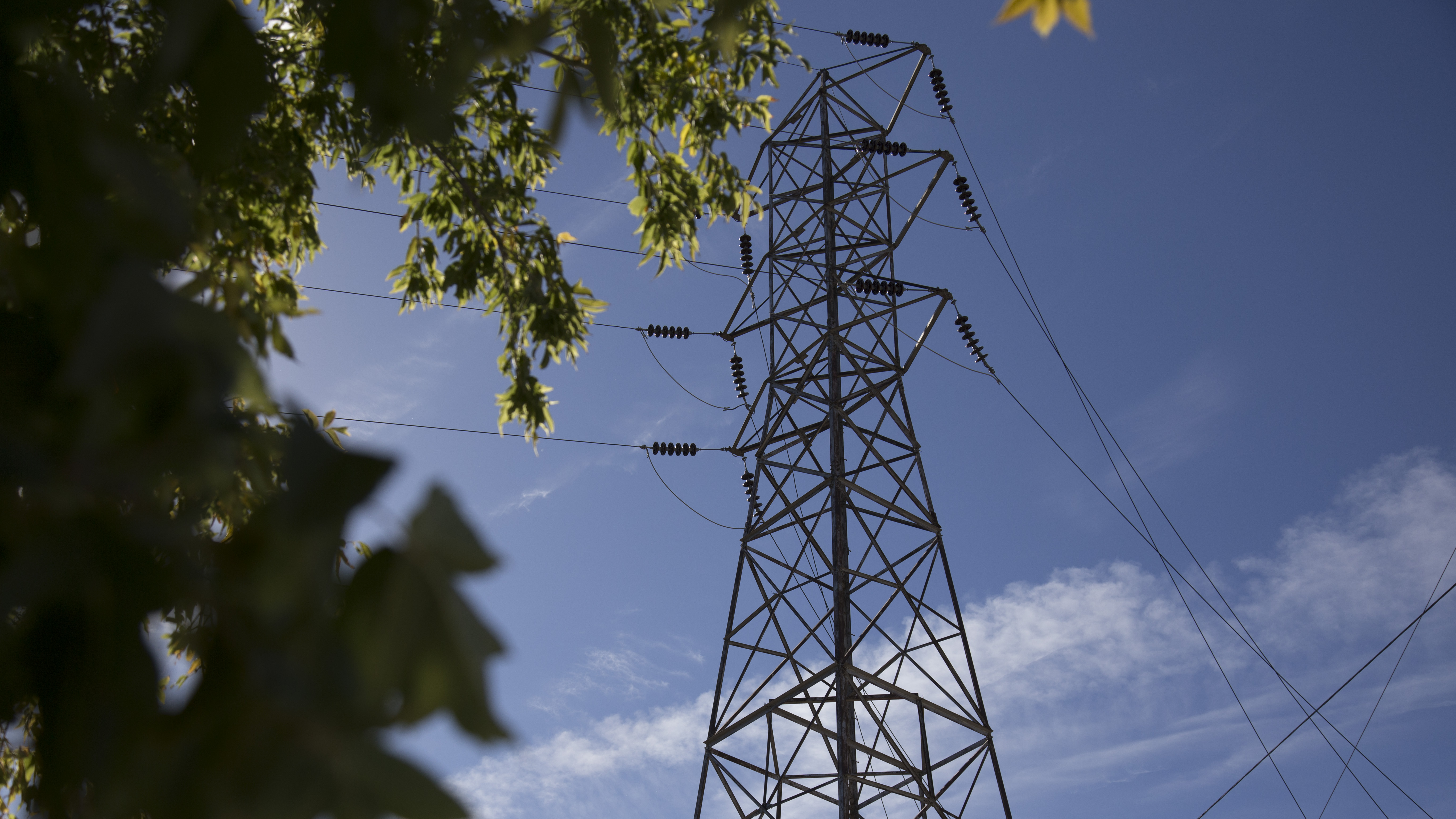News_Environmental study on Transmission Lines_Photo by Asha_RGB web