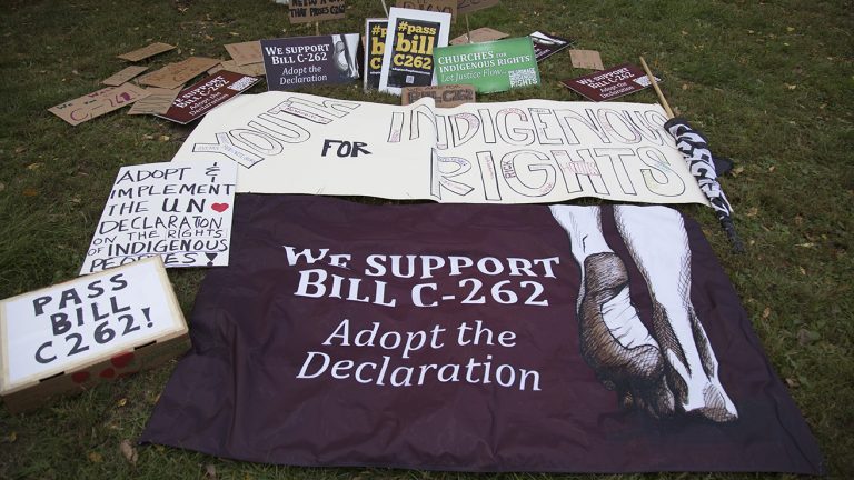 Winnipegers walk 12 kilometres in support of federal adoption of UNDRIP