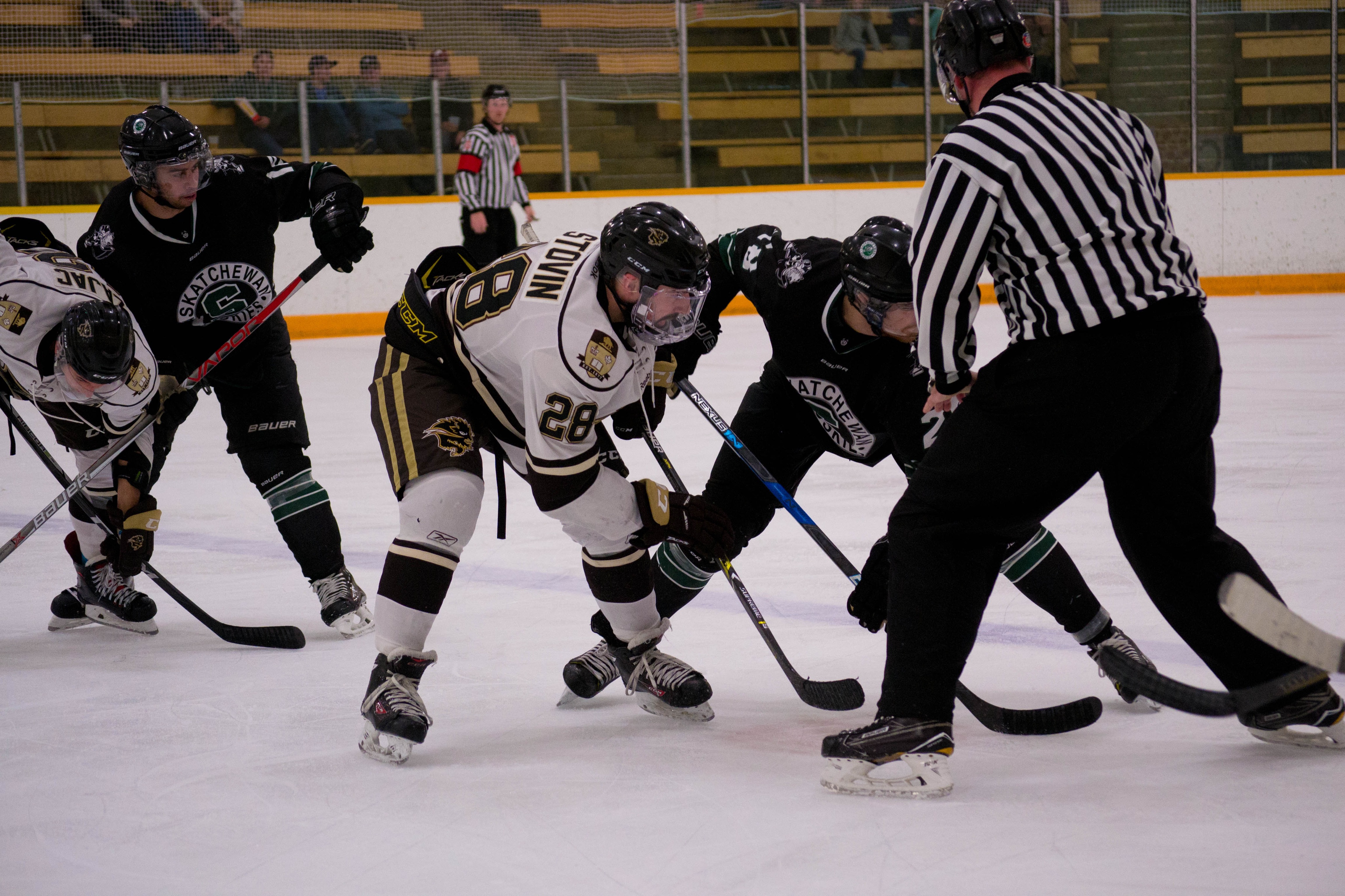 Bison_Mens_Hockey_vs_Sask_Huskies_Oct_20_2017.jpg Bison centre Brett Stovin takes a face-off against the Saskatchewan Huskies.