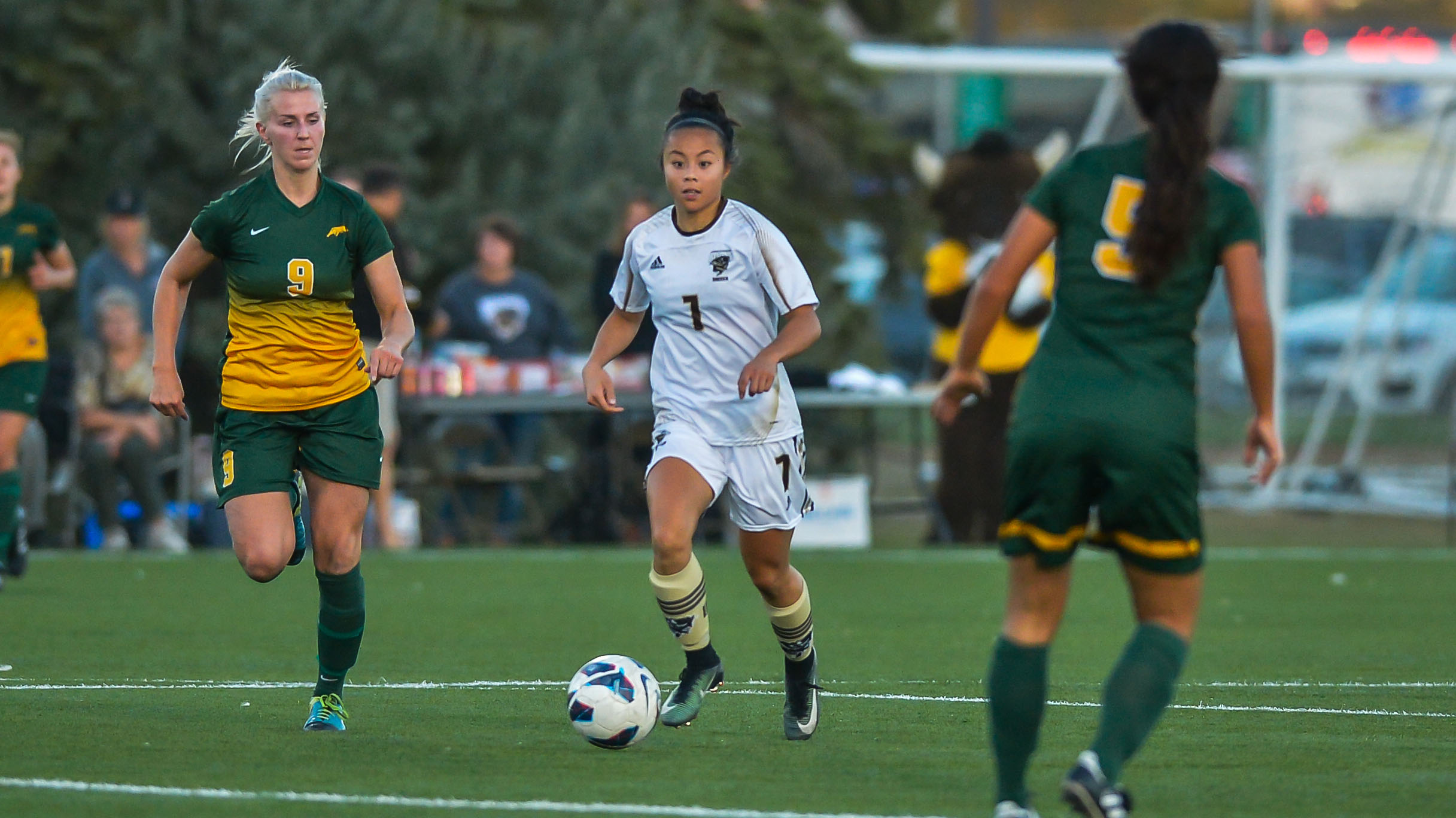 Bison Sports #7 Hailey Lavarias in action against the Regina Cougars.