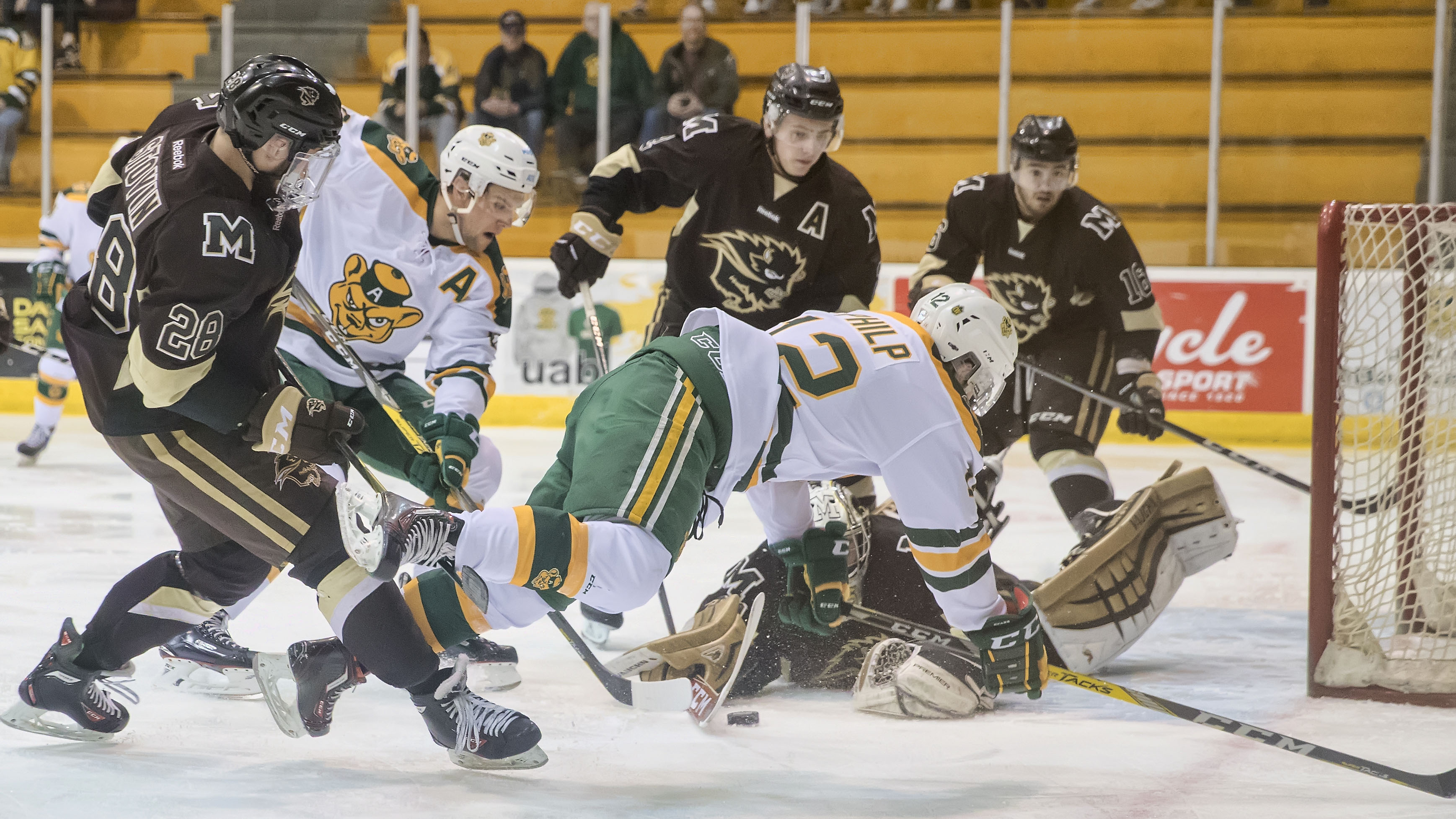Sports_Hockey Recap_Photo by Don Voaklander_RGB web The men's hockey team lost both of their games against the #2 Alberta Golden Bears
