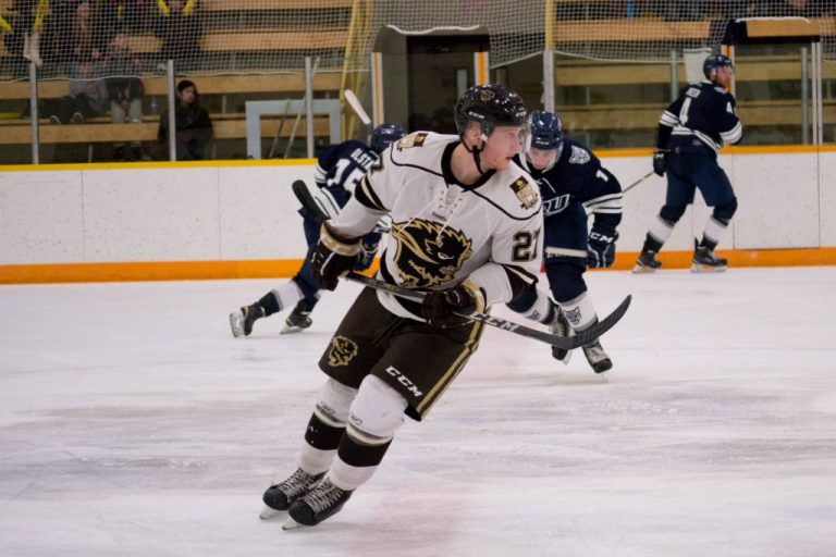 Bison forward Zach Franko in action against the Mount Royal Cougars this past weekend. Franko had two goals in the 3-2 win on Oct. 28.