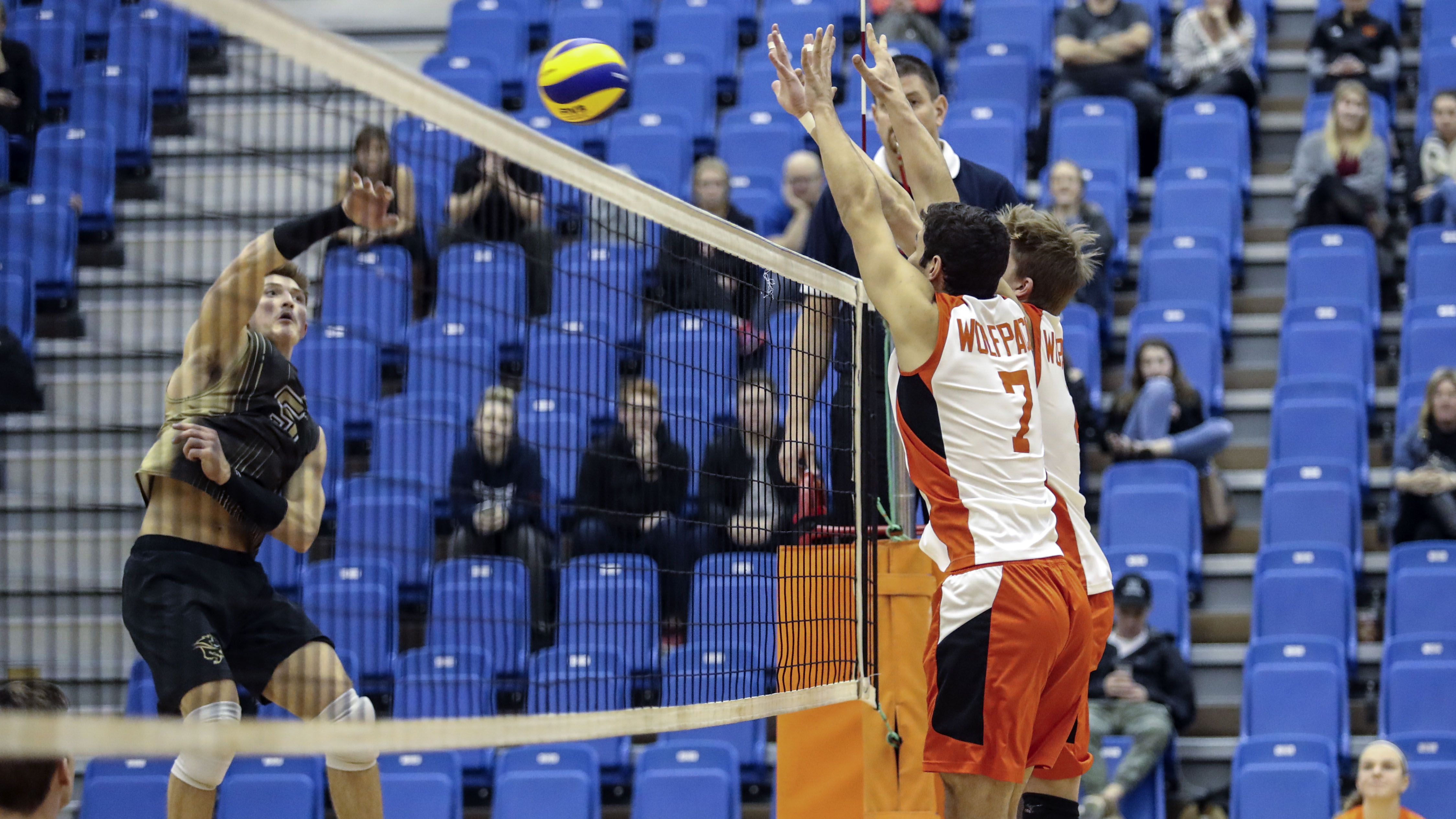 Sports_Men's Vball_Photo by Larry Read_RGB web Bison Scott Vercaigne goes for a kill against Thompson Rivers University this past weekend.