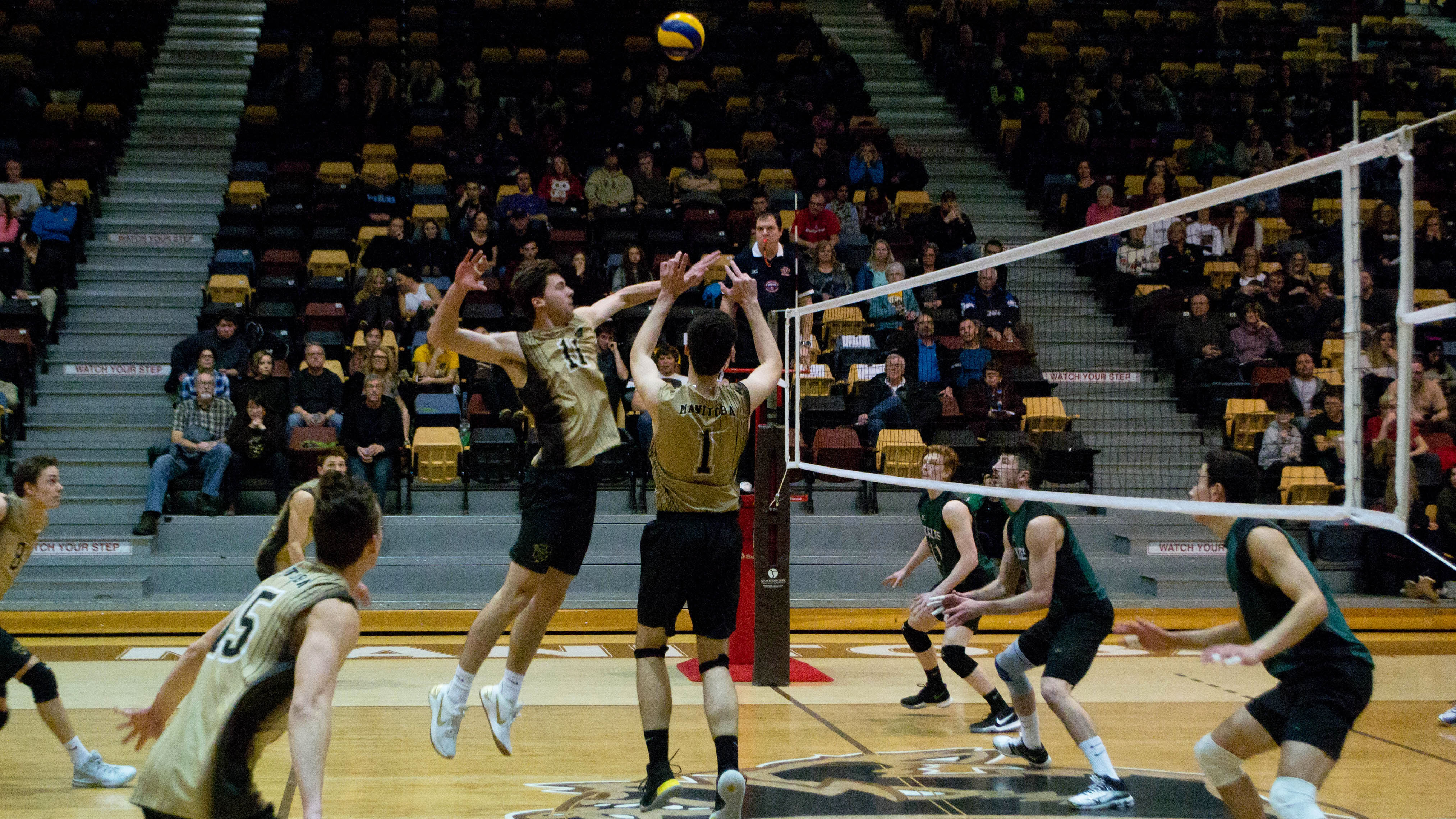 Bison men’s volleyball split Saskatchewan, women swept The Manitoban