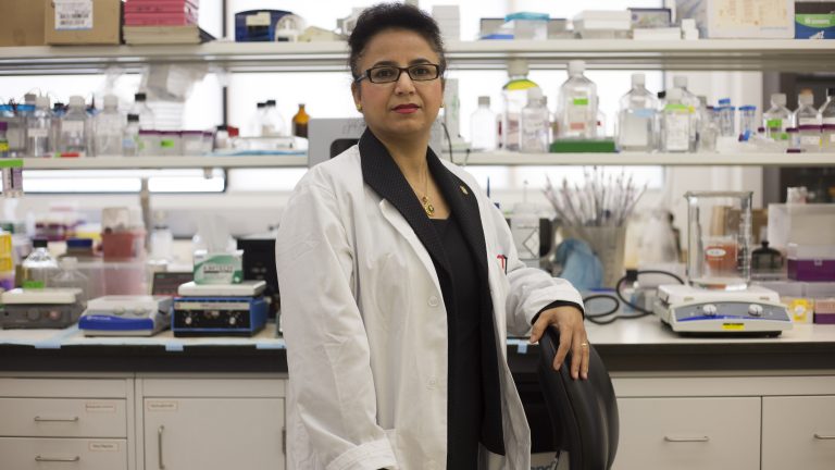 Regenerative medicine generating research at U of M