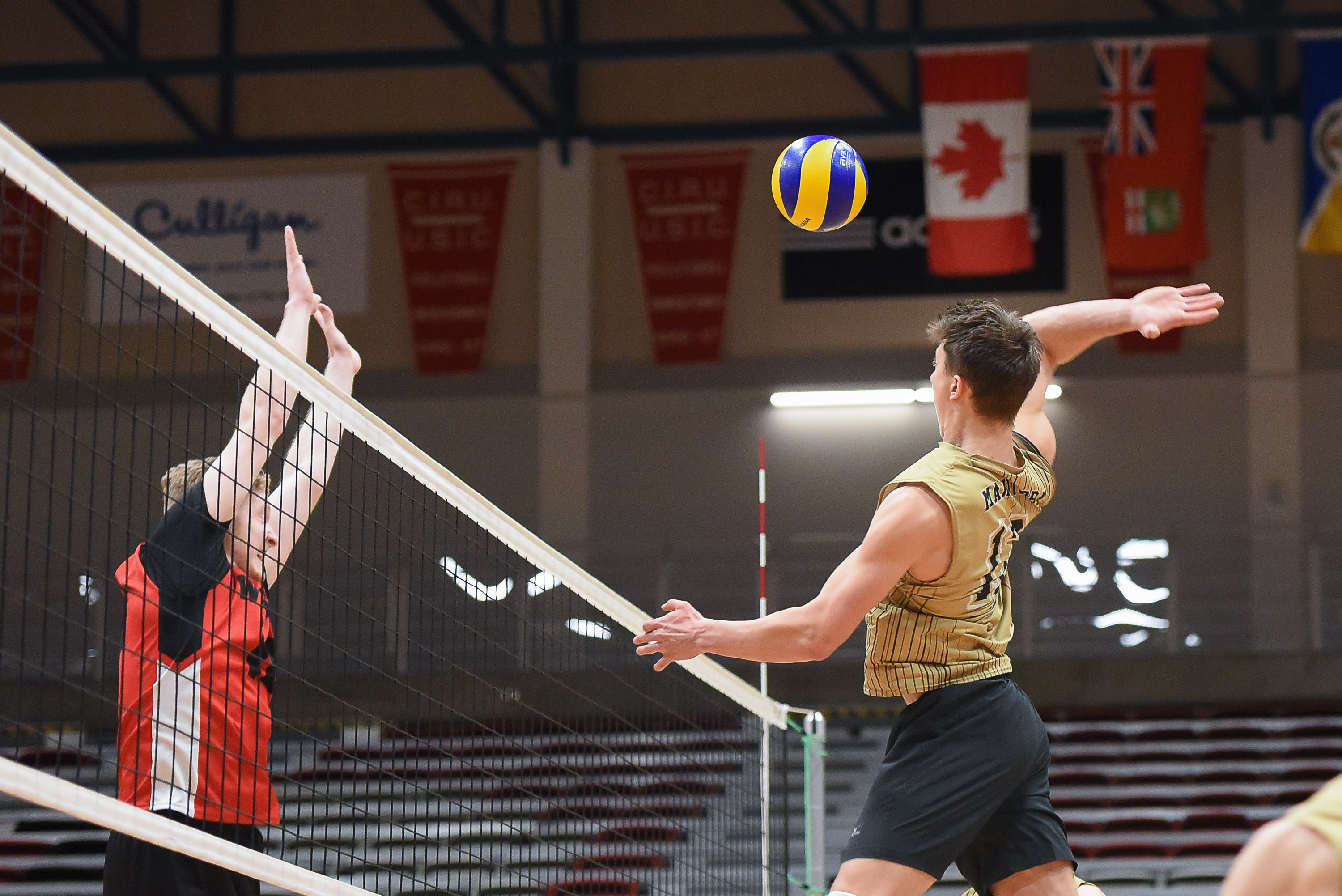 Bison volleyball teams beat down Wesmen in Duckworth Challenge The