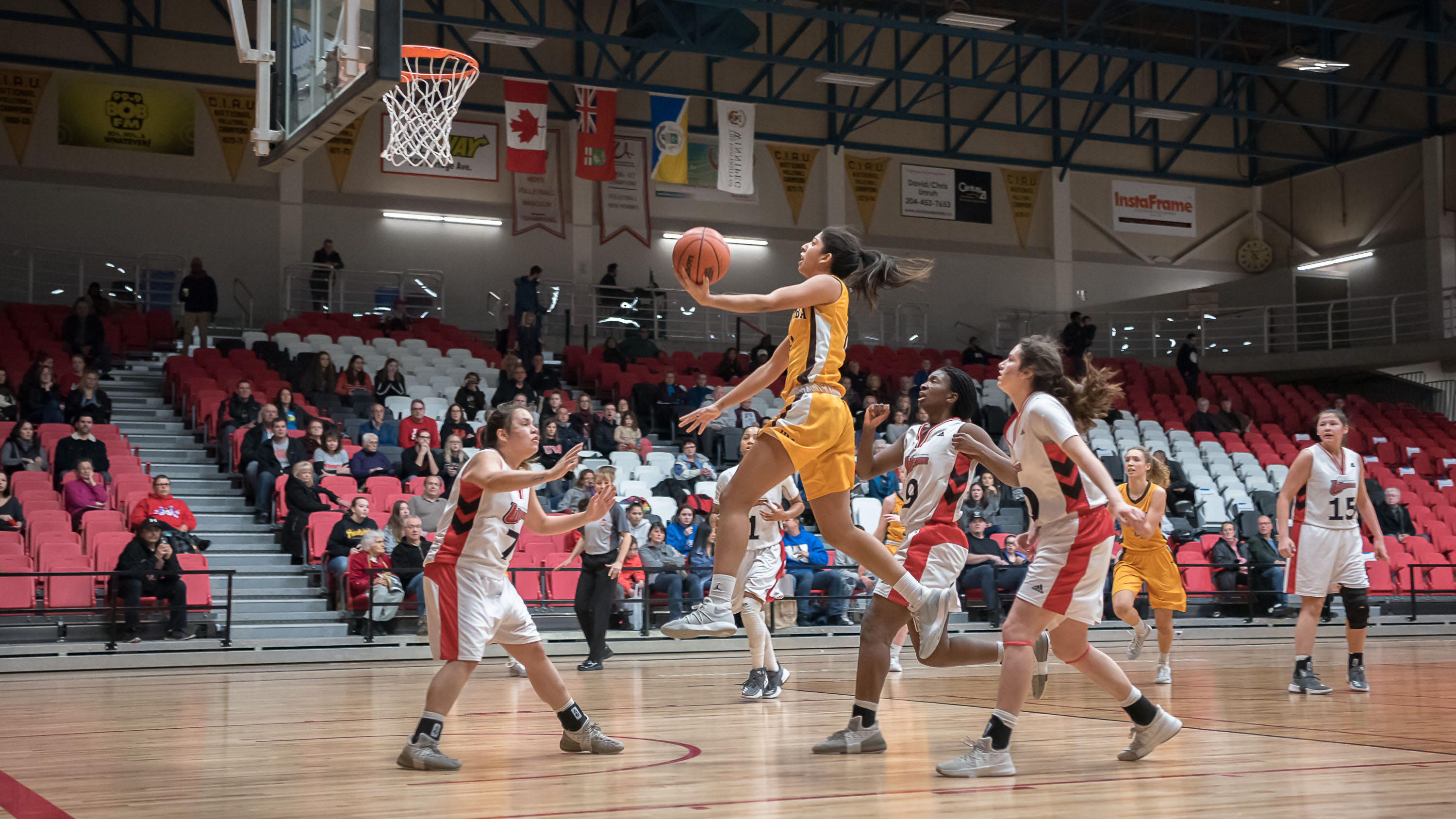 Sports_Bison_Womens_Basketball_vs_Wesmen_Photo_by_Joe_Oczerklewicz_RGB web Bison Claire Harvey goes for a layup against the University of Winnipeg Wesmen.
