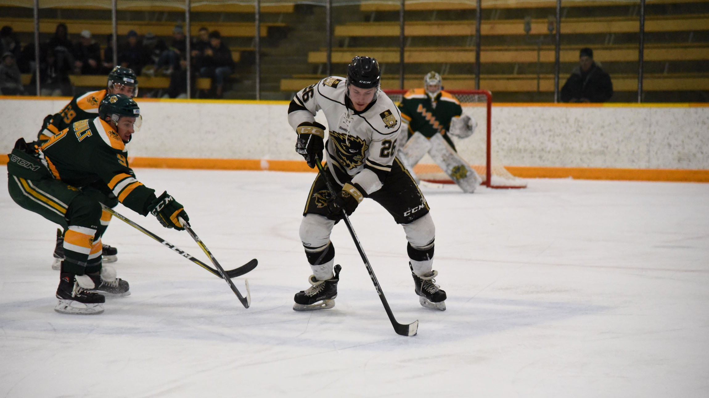 Sports_Men's Hockey_Photo by Chantal Zdan_RGB web Bison forward #26 Quintin Lisoway keeping possession against a tough Golden Bear defence.