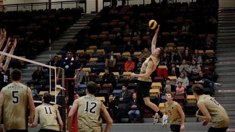 Bison Kevin Negus goes for a kill.