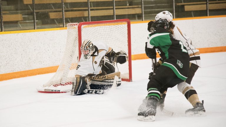 Rachel Dyck follows the puck to the corner against the Saskatchewan Huskies at the Wayne Fleming Arena.