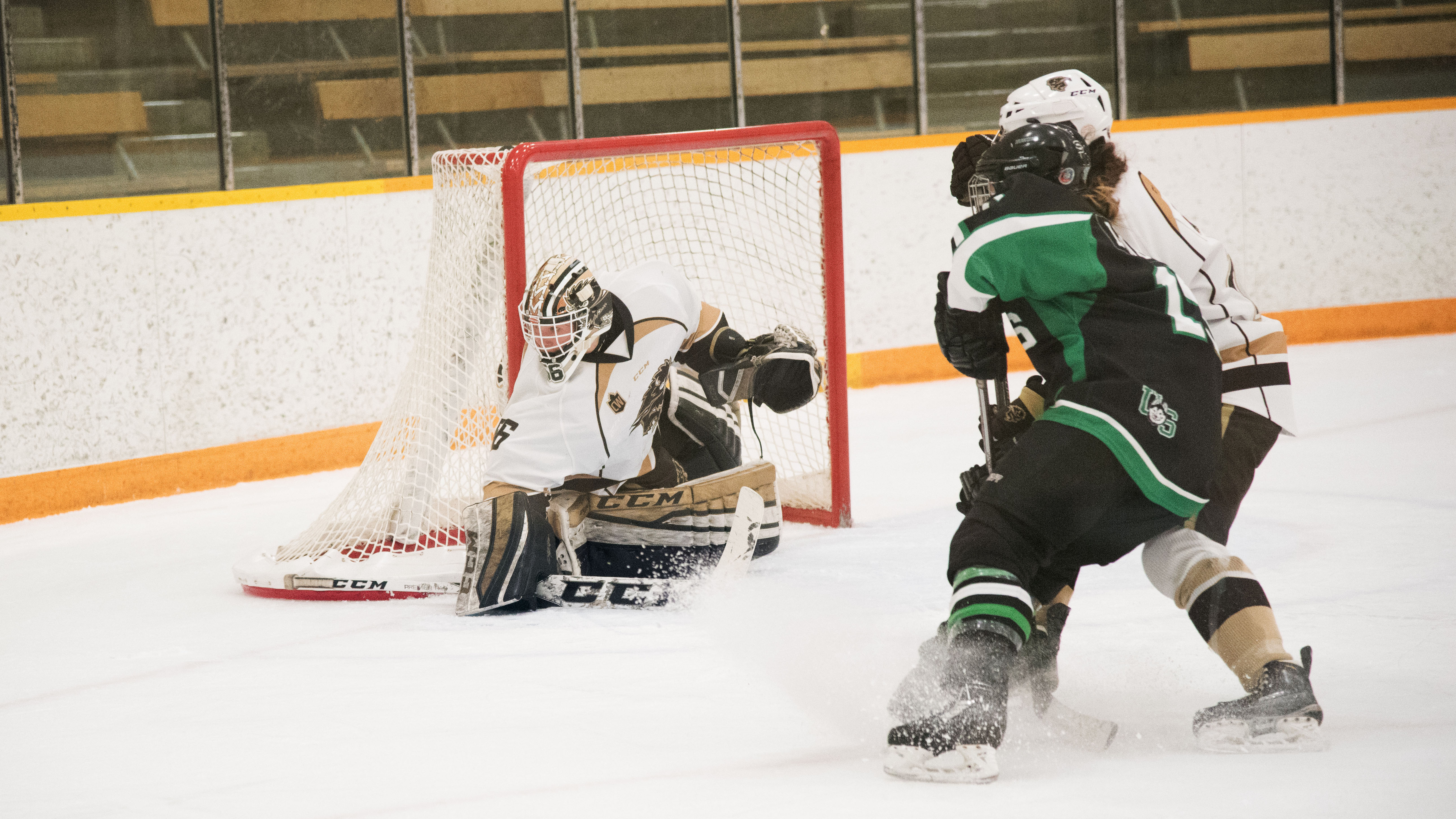 Sports_Profile of Rachel Dyck_Photo by Chantal_Zdan_RGB web Rachel Dyck follows the puck to the corner against the Saskatchewan Huskies at the Wayne Fleming Arena.