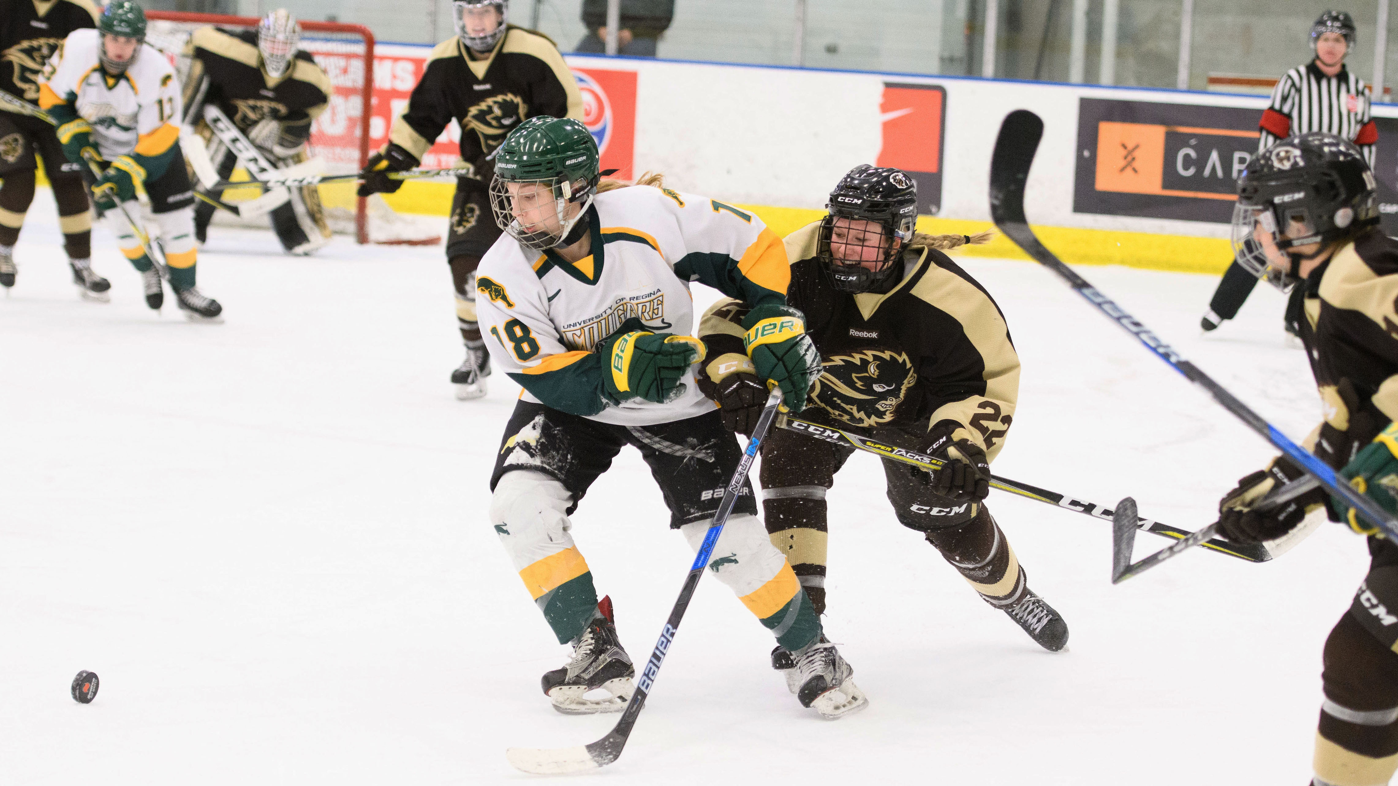 Regina Cougars vs University of Manitoba Bisons 1st year forward Jordan Kulbida (18) of the Regina Cougars in action during the Women's Hockey home game on January 27 at Co-operators arena. Credit: Arthur Ward/Arthur Images