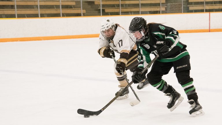 Bison defender Erica Rieder chases down a Huskie player at the Wayne Fleming Arena.