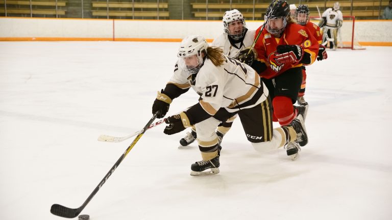 Bison forward Jordyn Zacharias with help from a teammate breaks away into Dino’s territory during Saturday’s game at Wayne Fleming Arena.