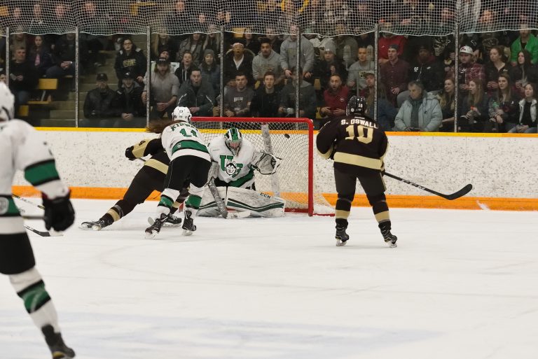 Bison forward Alana Serhan scores a goal while Sheridan Oswald looks on during game two of the Canada West Final at the Wayne Fleming Arena in Winnipeg.