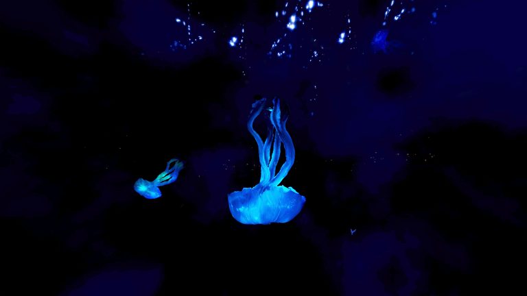 An artistic history of the natural world