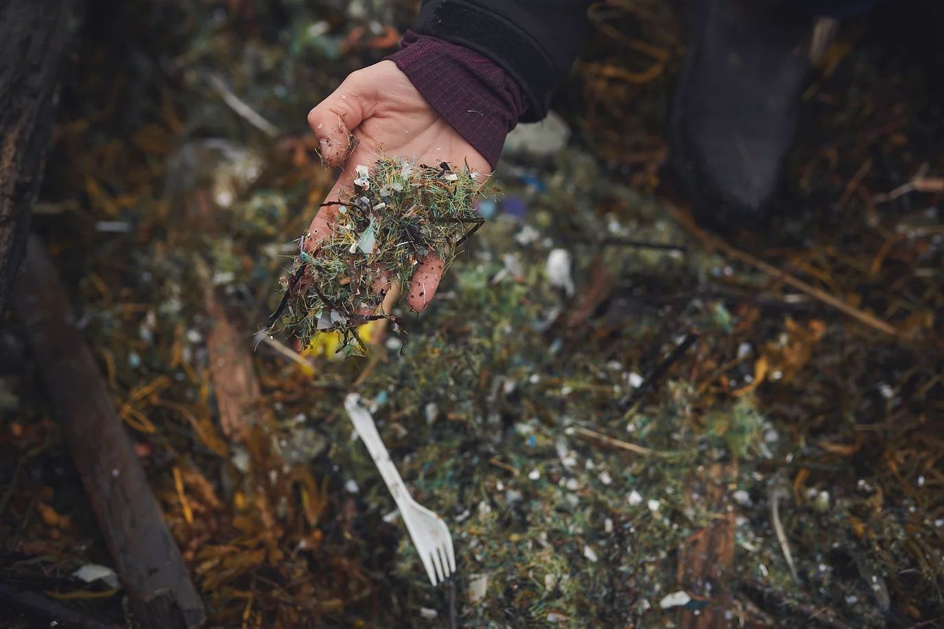 ARTS One man_s quest for clean oceans Cody Westman provided