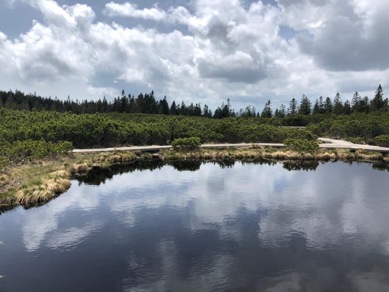 Exploring a holistic approach to wellbeing