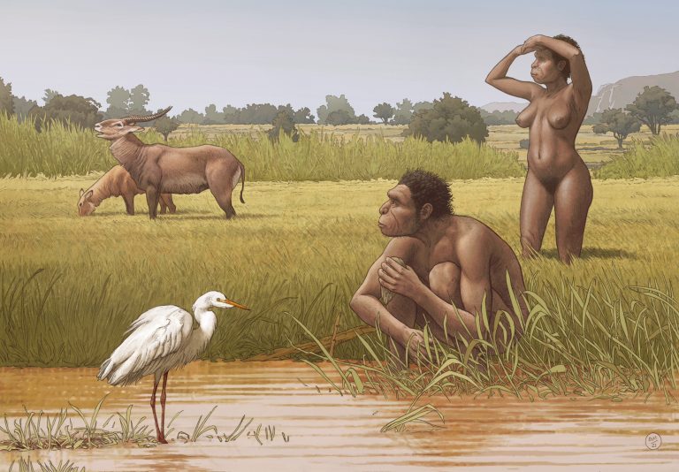 PhD student contributes to project renaming hominins