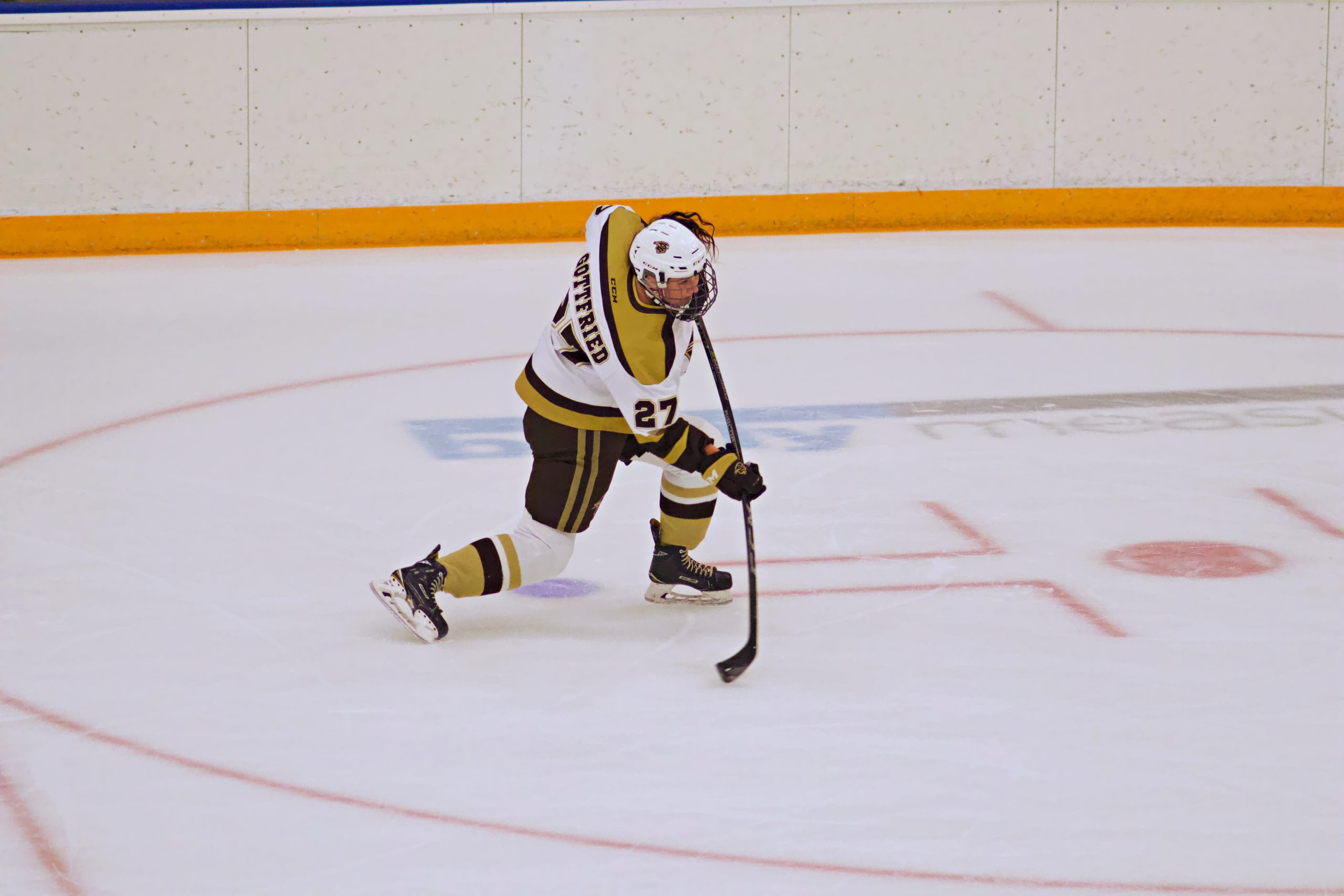 SPORTS Bisons blank Trinity Western in back-to-back games Merkel