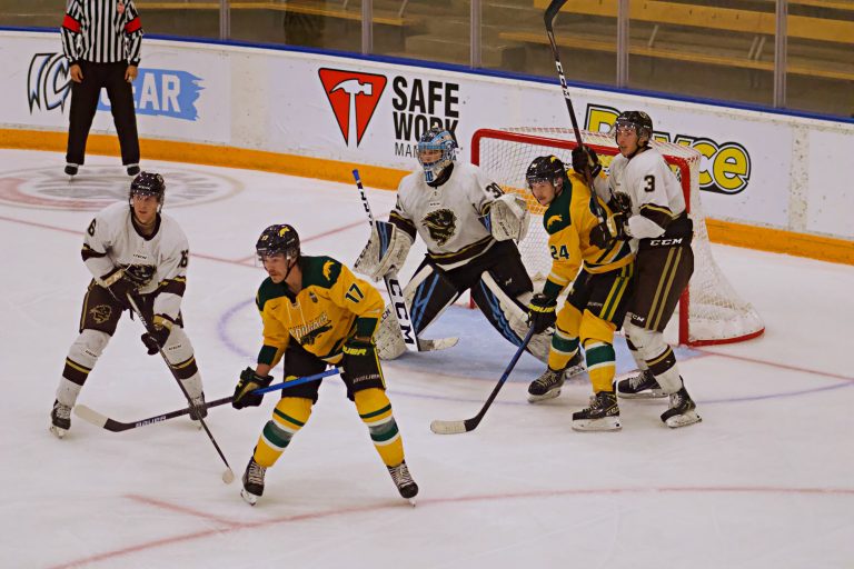 Bisons hope to rebound in second half of season
