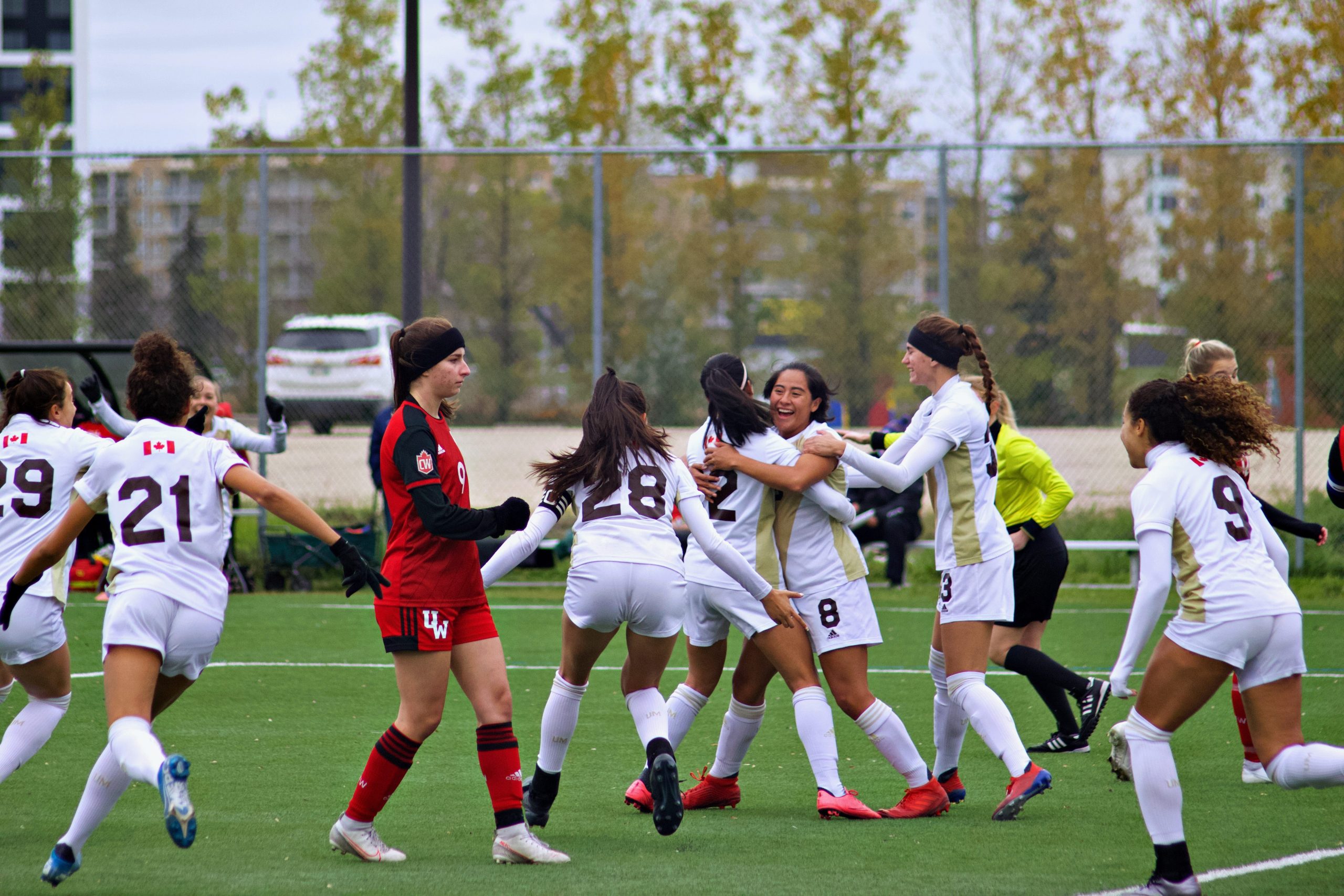 SPORTS Bisons soccer attempts late playoff push Merkel
