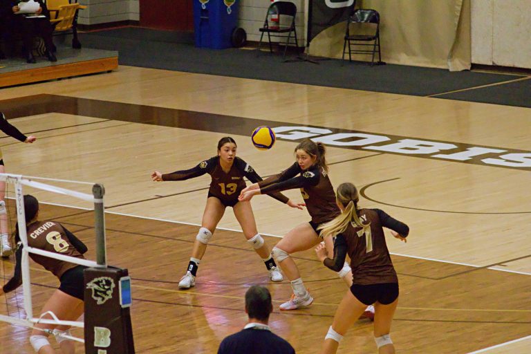 Bisons win Duckworth Challenge