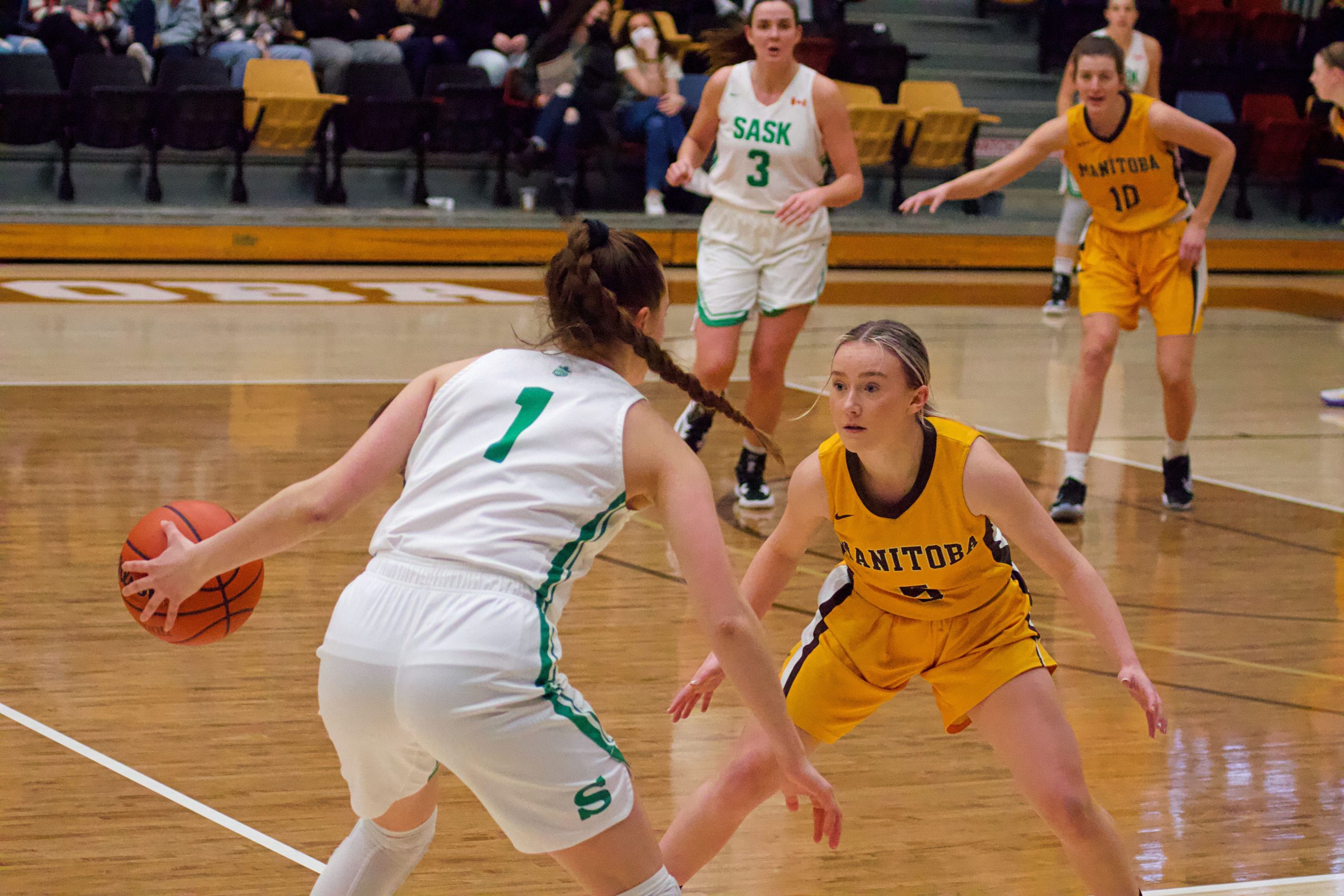 SPORTS Huskies prey on Bisons Merkel